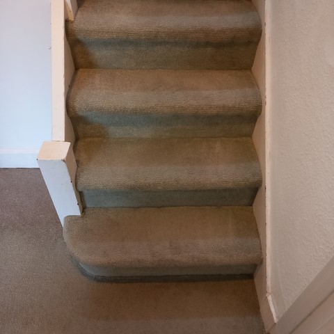 Stair and landing carpet after steam cleaning